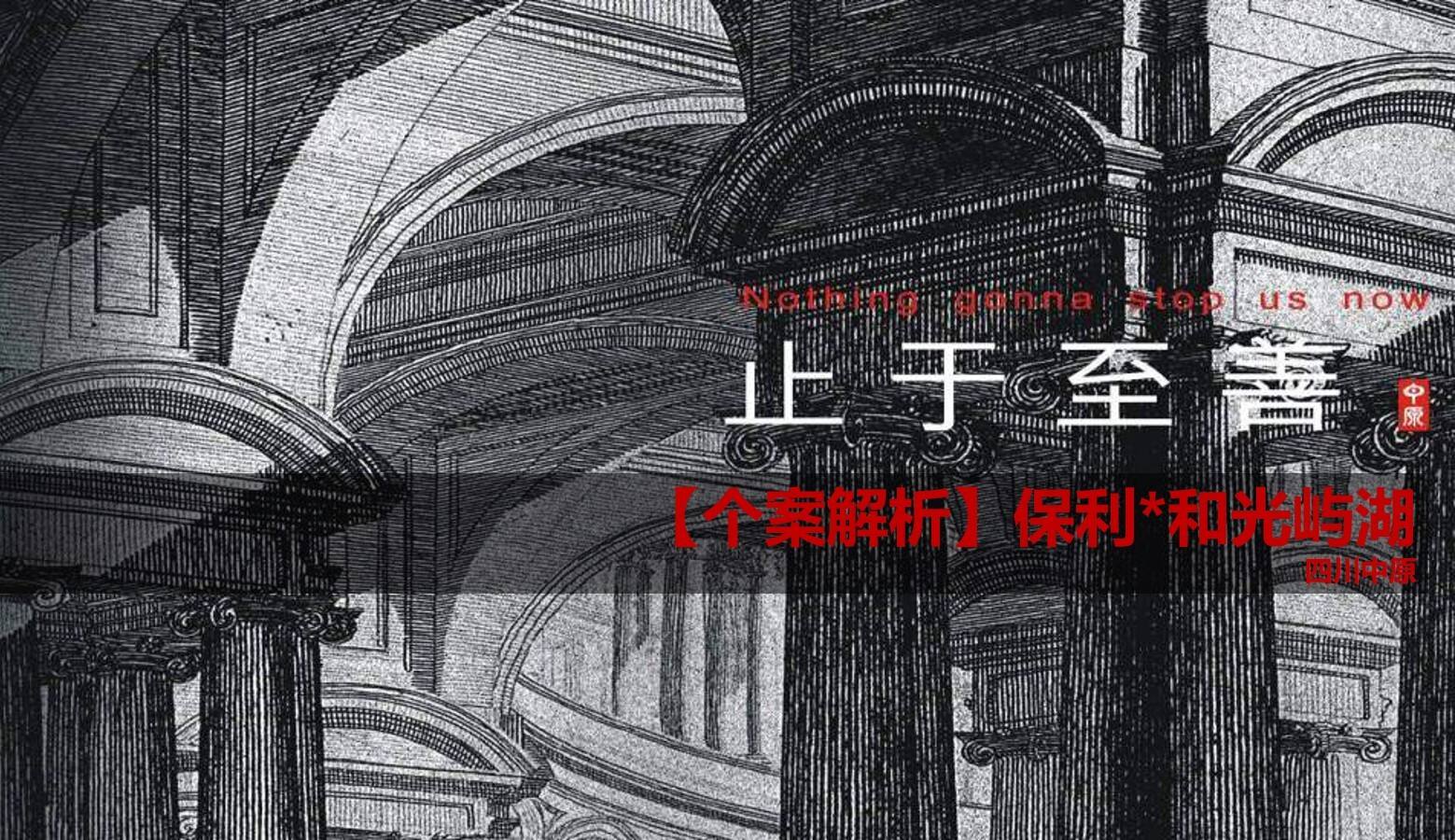 2020保利和光屿湖案例解析