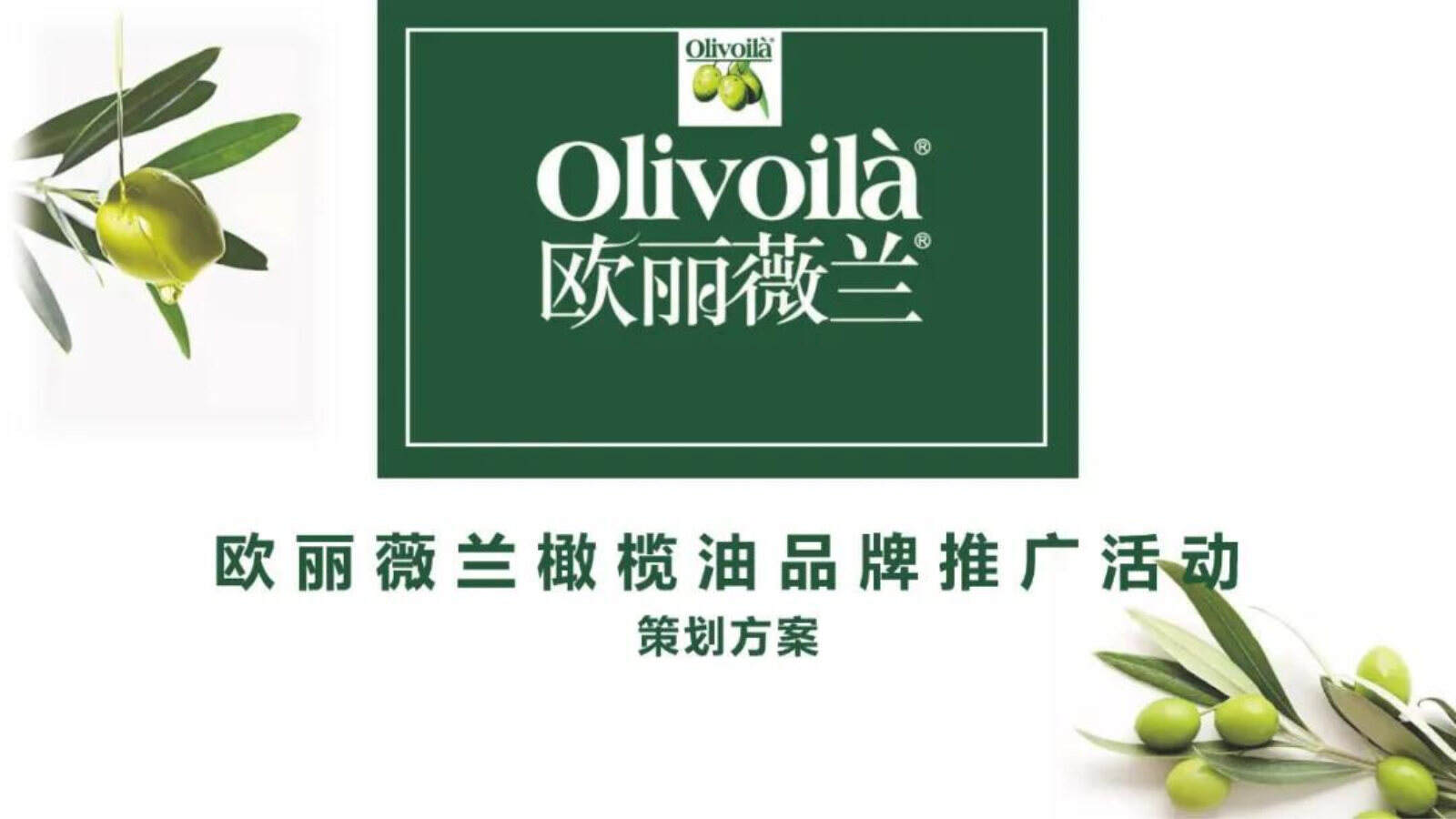 百货欧丽薇兰橄榄油品牌地推暖场活动策划案