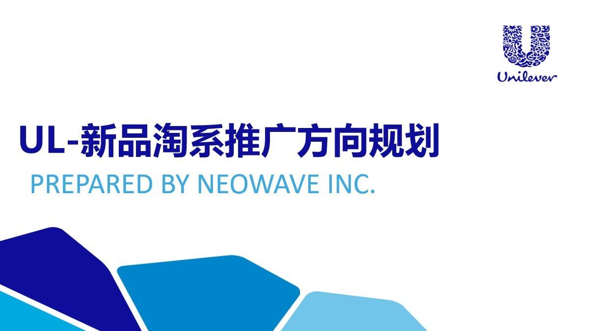 联合利华新品淘系推广方向规划