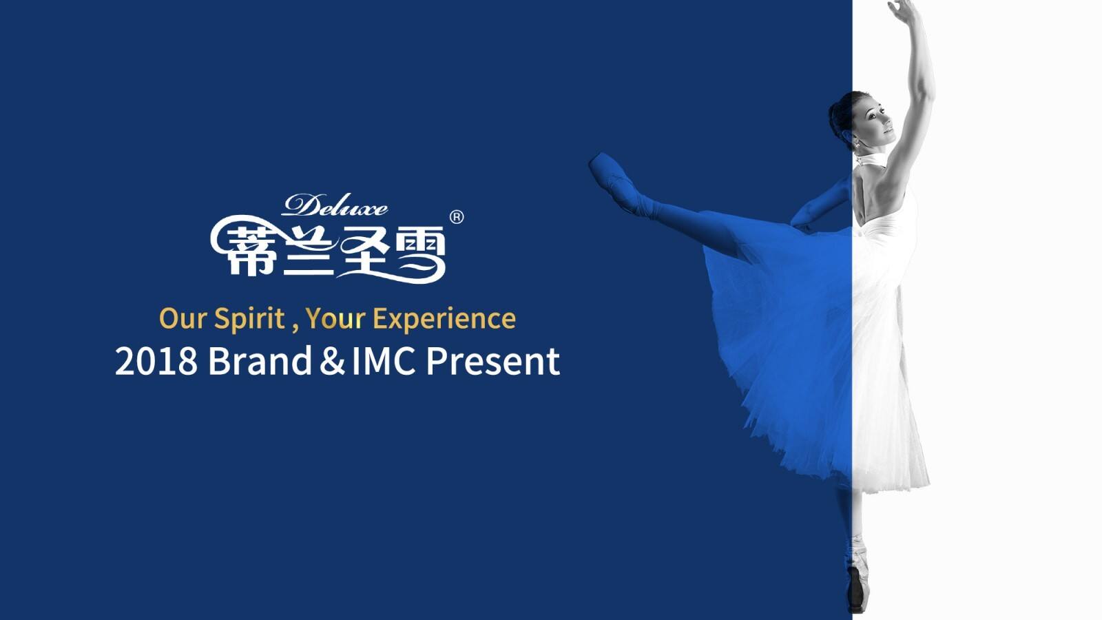 蒙牛蒂兰圣雪品牌策略