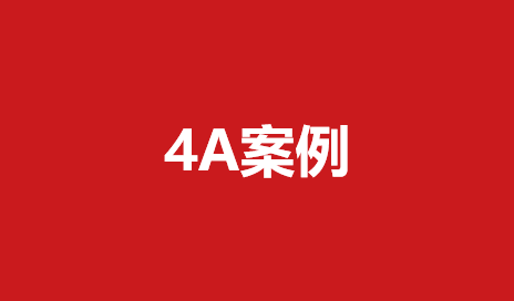 211重磅4A策划案（18份）