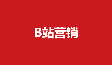 173哔哩哔哩B站营销资料（7份）