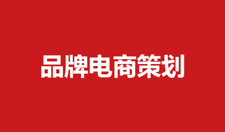 259知名品牌电商策划方案（31份）
