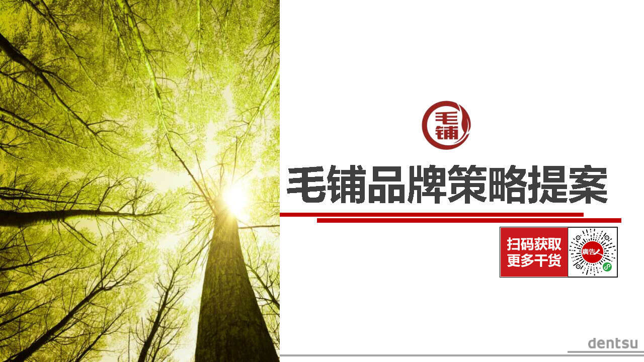 电通-毛铺品牌策略提案