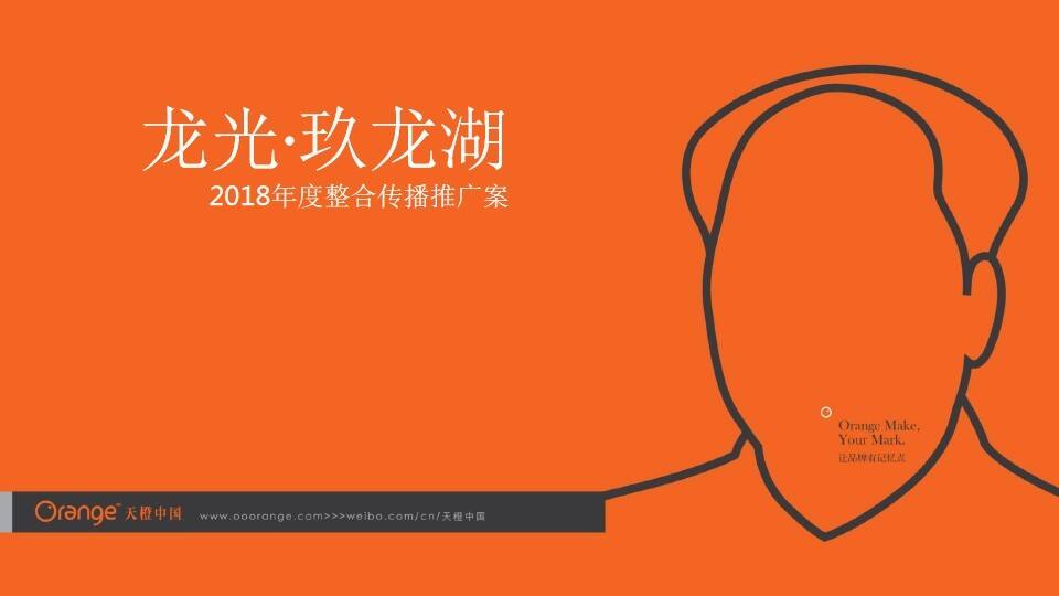 龙光玖龙湖年度推广策略