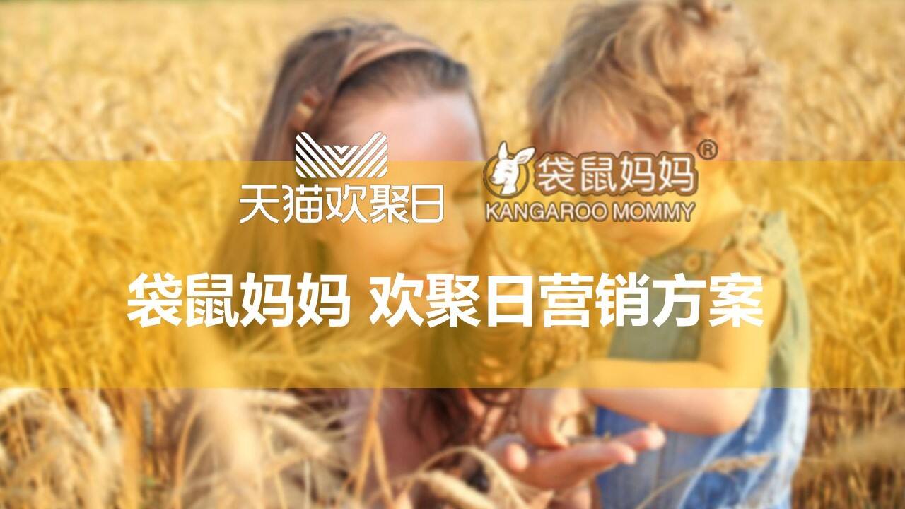 袋鼠妈妈天猫欢聚日营销策划方案【电商】【母婴】