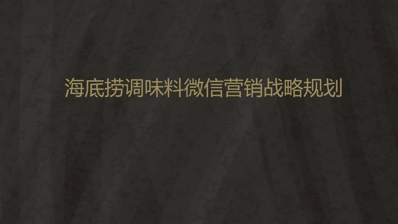 海底捞调味料微信营销战略规划案