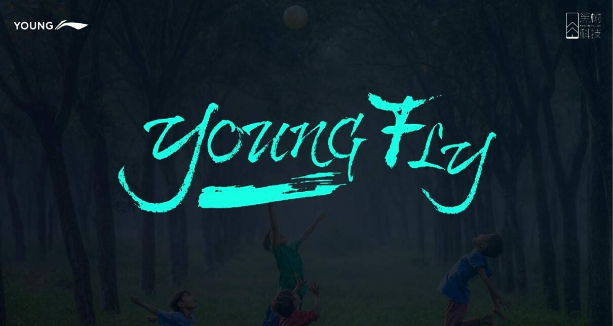 李宁YOUNG数字营销解决方案【服饰】【新媒体运营】