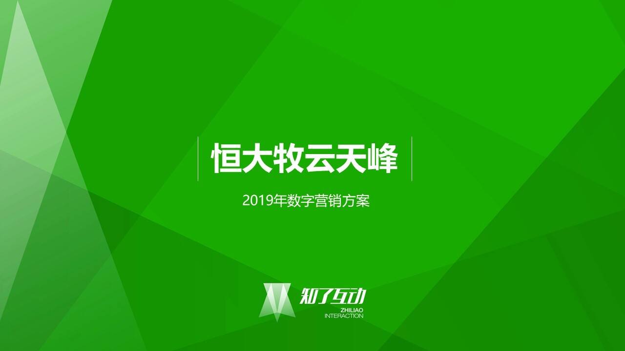 恒大·牧云天峰网络数字营销方案