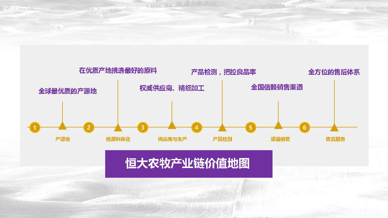 恒大农牧品牌年度品牌策划案【快消零售】【品牌推广】