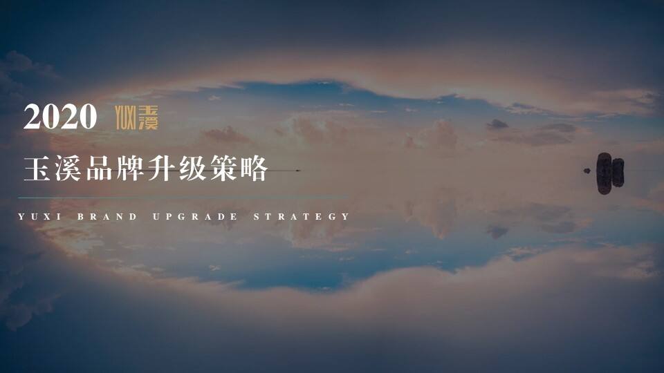 2020玉溪品牌升级策略方案【品牌策划】【零售】