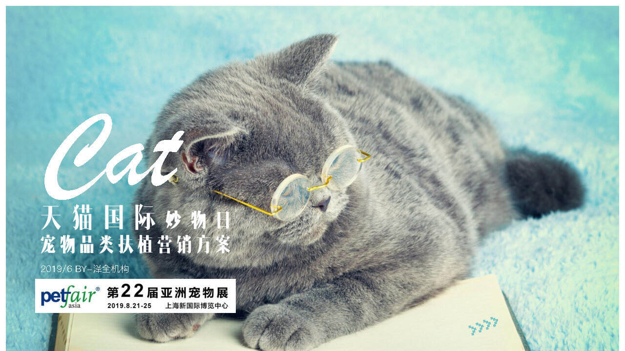 天猫国际宠物品类扶植计划营销方案