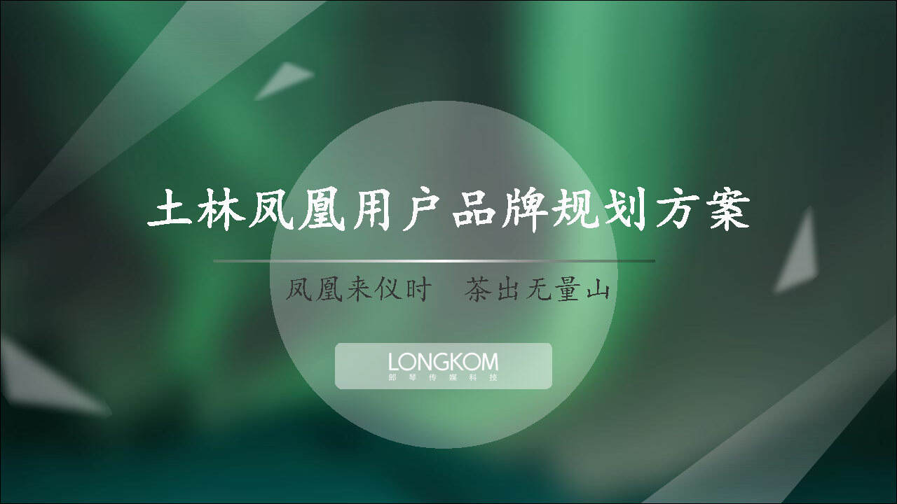 2020土林凤凰用户品牌规划方案