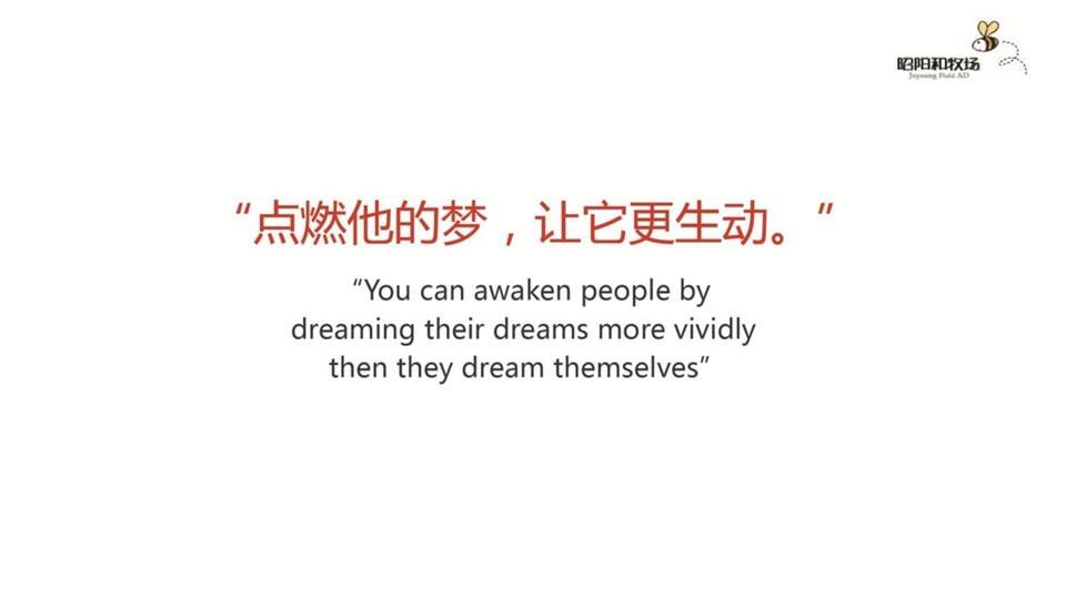 华远大一山庄度整合推广执行方案【地产】