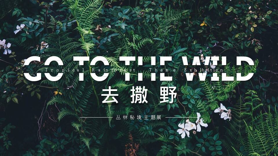 去撒野丛林秘境美陈主题展【旅游】【活动策划】