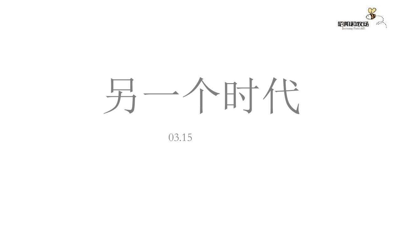 时代红石推广策略案【地产】