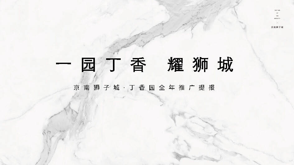 2020京南狮子城年度推广方案