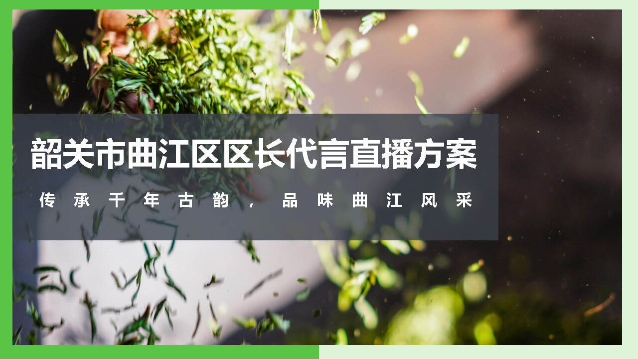 2020韶关区长代言直播活动策划方案【直播策划】