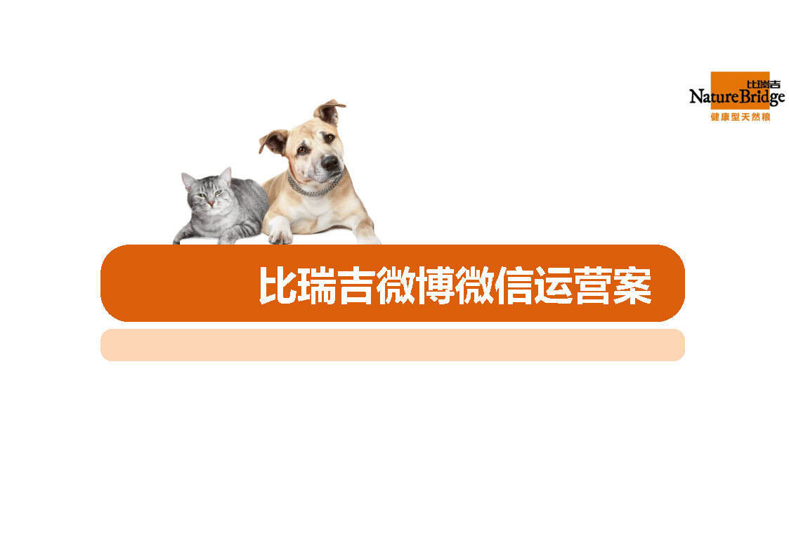 比瑞吉双微运营方案