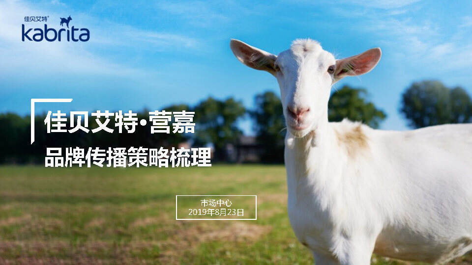 佳贝艾特品牌传播策略梳理方案