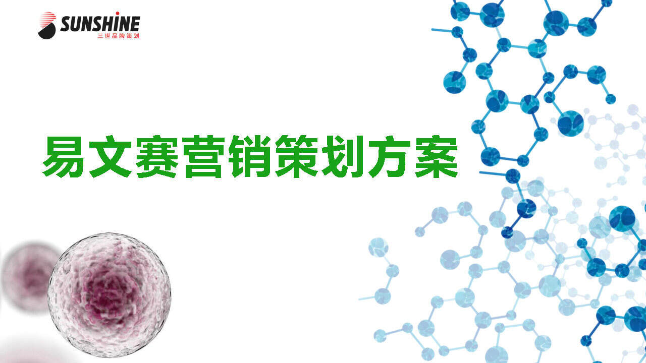 2021易文赛营销策划方案