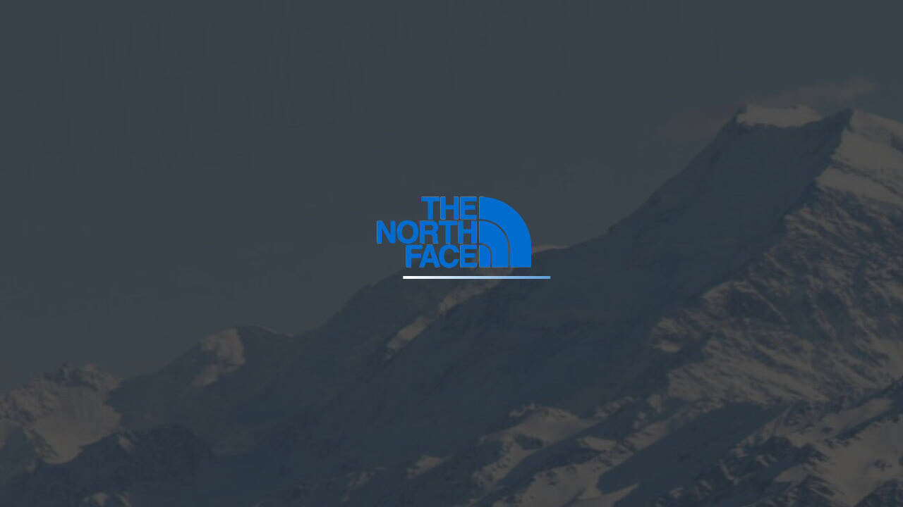 The North Face 新产品策划【鞋】