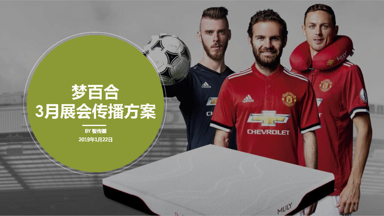 智传媒-梦百合3月展会传播方案【家居】