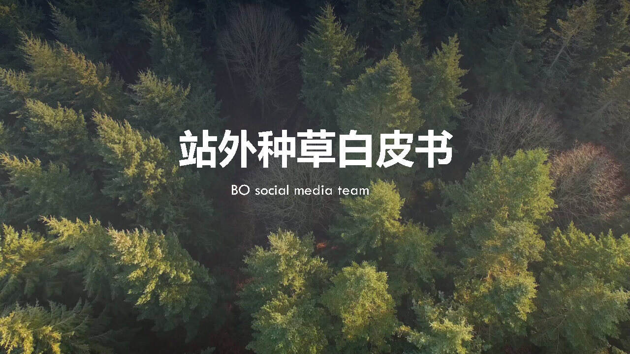 服装行业品牌种草方案