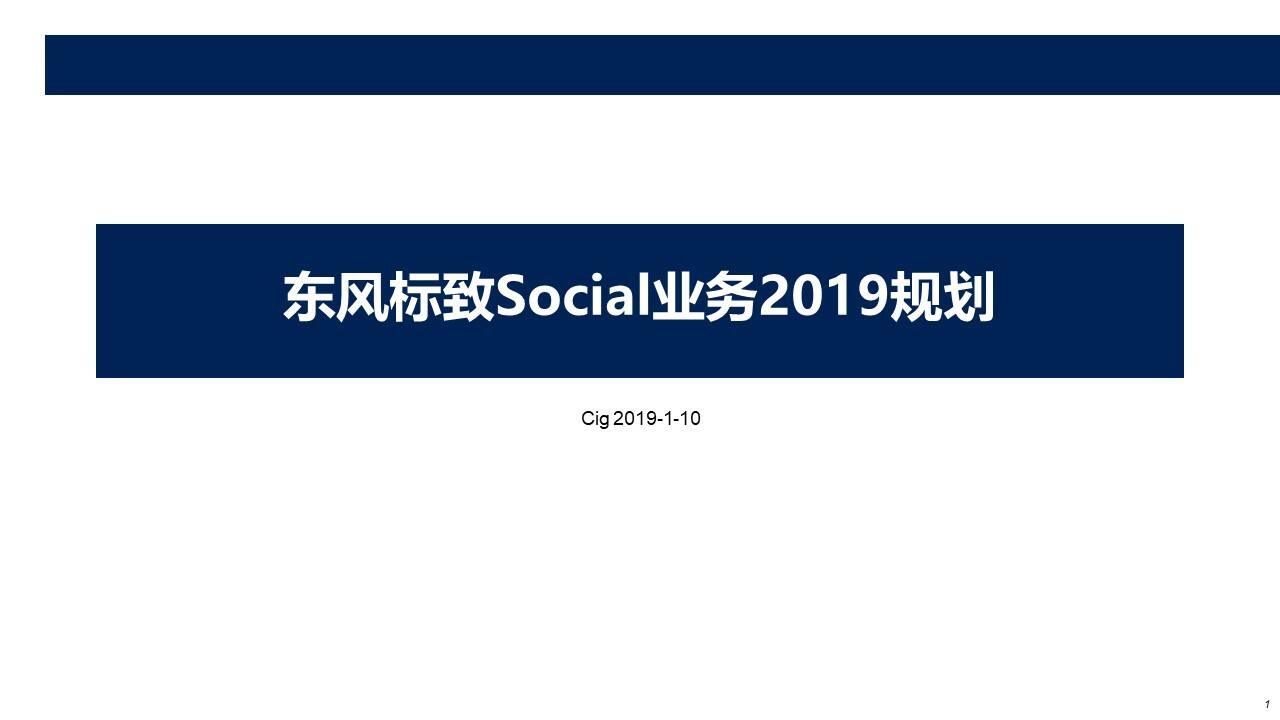 东风标致Social业务规划方案
