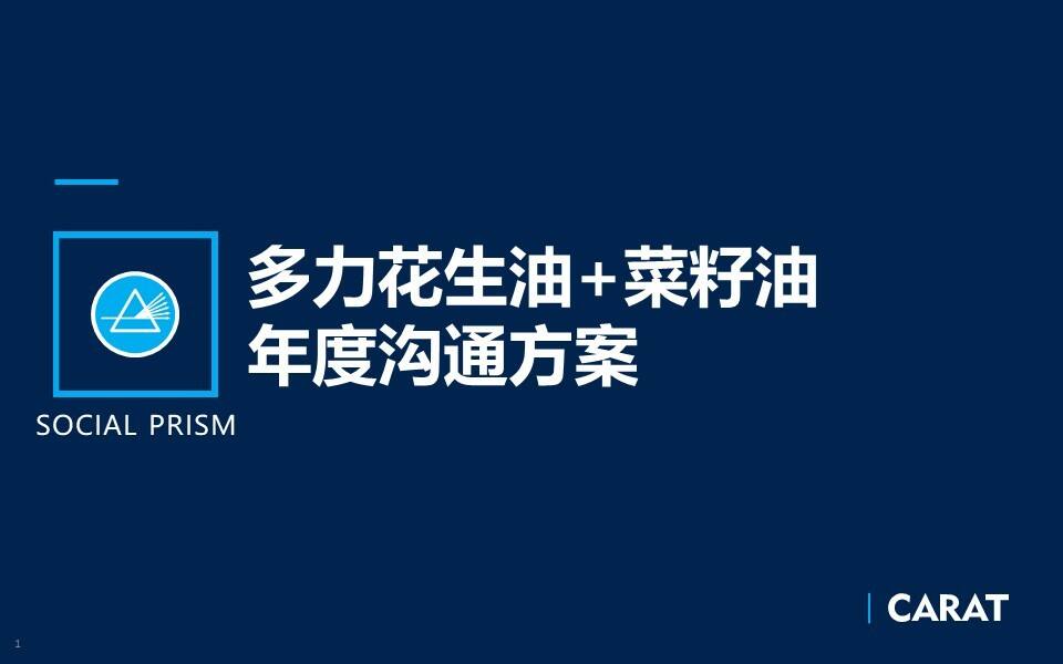 多力花生油沟通与传播执行方案
