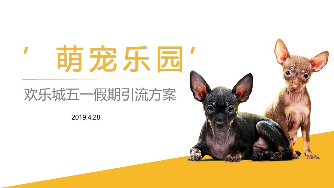 常德欢乐城五一假期萌宠引流方案