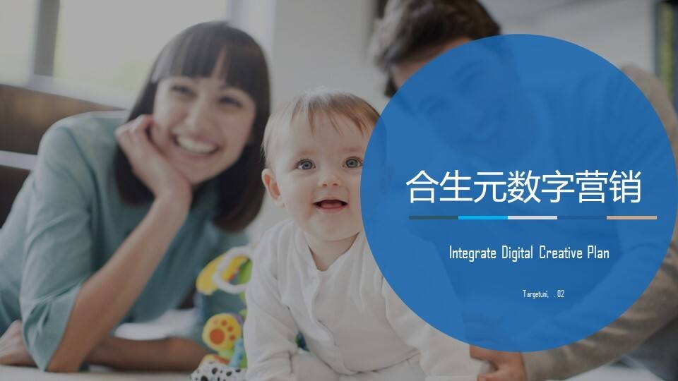 合生元数字营销方案