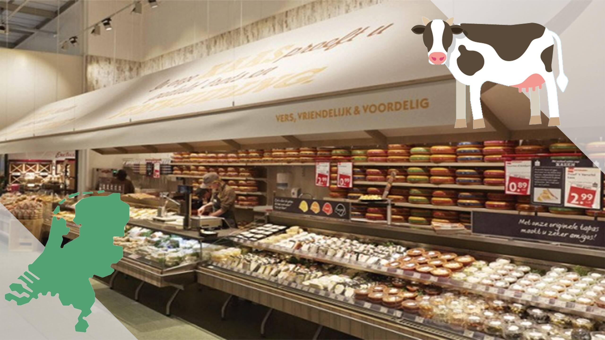 荷兰买天猫国际运营规划案