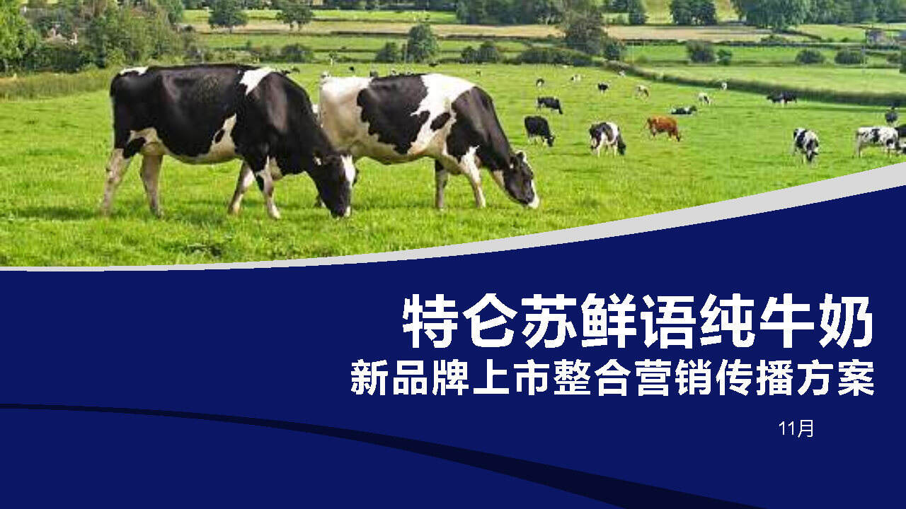 蒙牛特仑苏鲜语纯牛奶新品牌上市整合营销传播方案