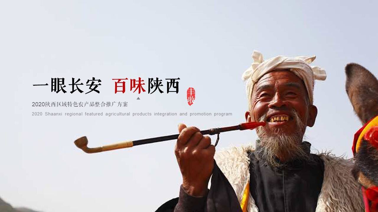 2020陕西区域特色农产品“一眼长安  百味陕西”整合推广方案