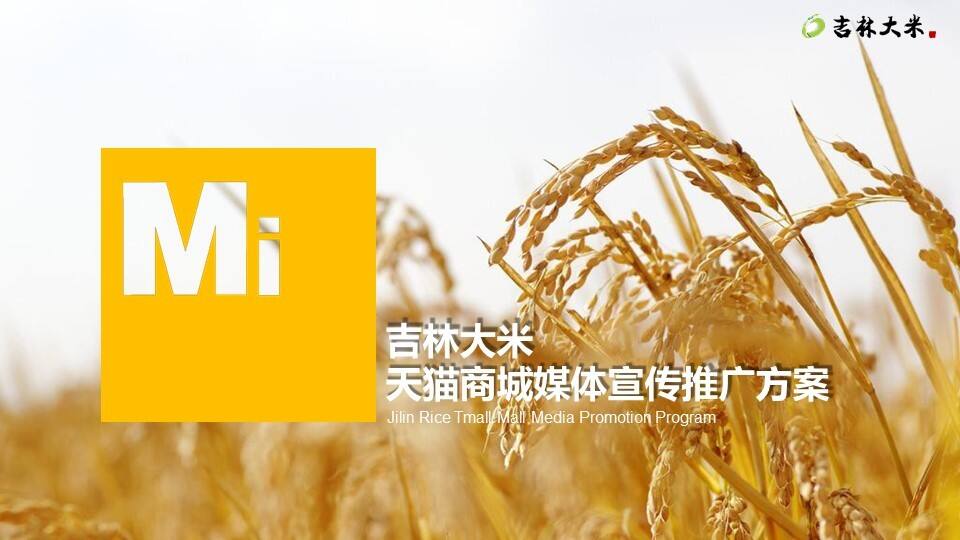吉林大米天猫商城宣传推广项目方案