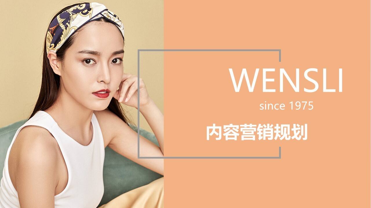 万事利全年规划方案