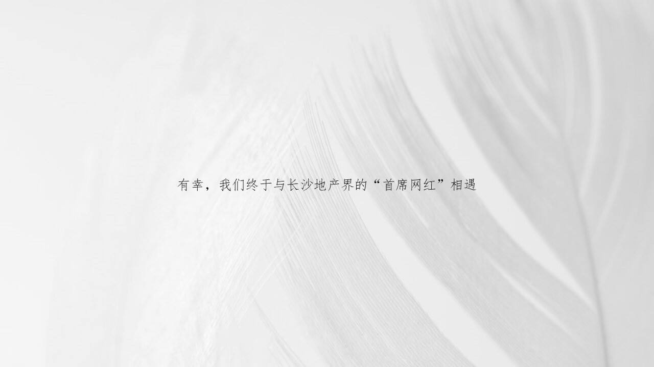 金铠广告-长沙印湘江项目推广策略提报