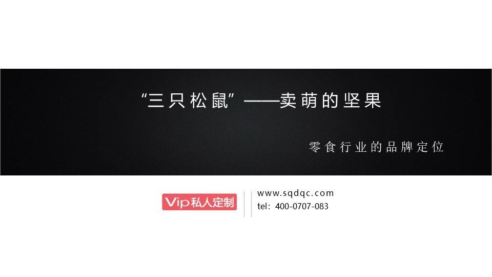 三只松鼠品牌策略定位方案