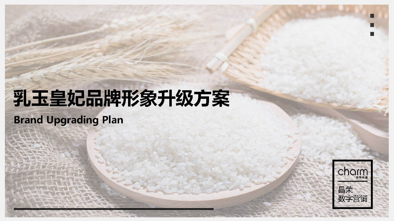 昌荣传播：乳玉皇妃电商推广提案