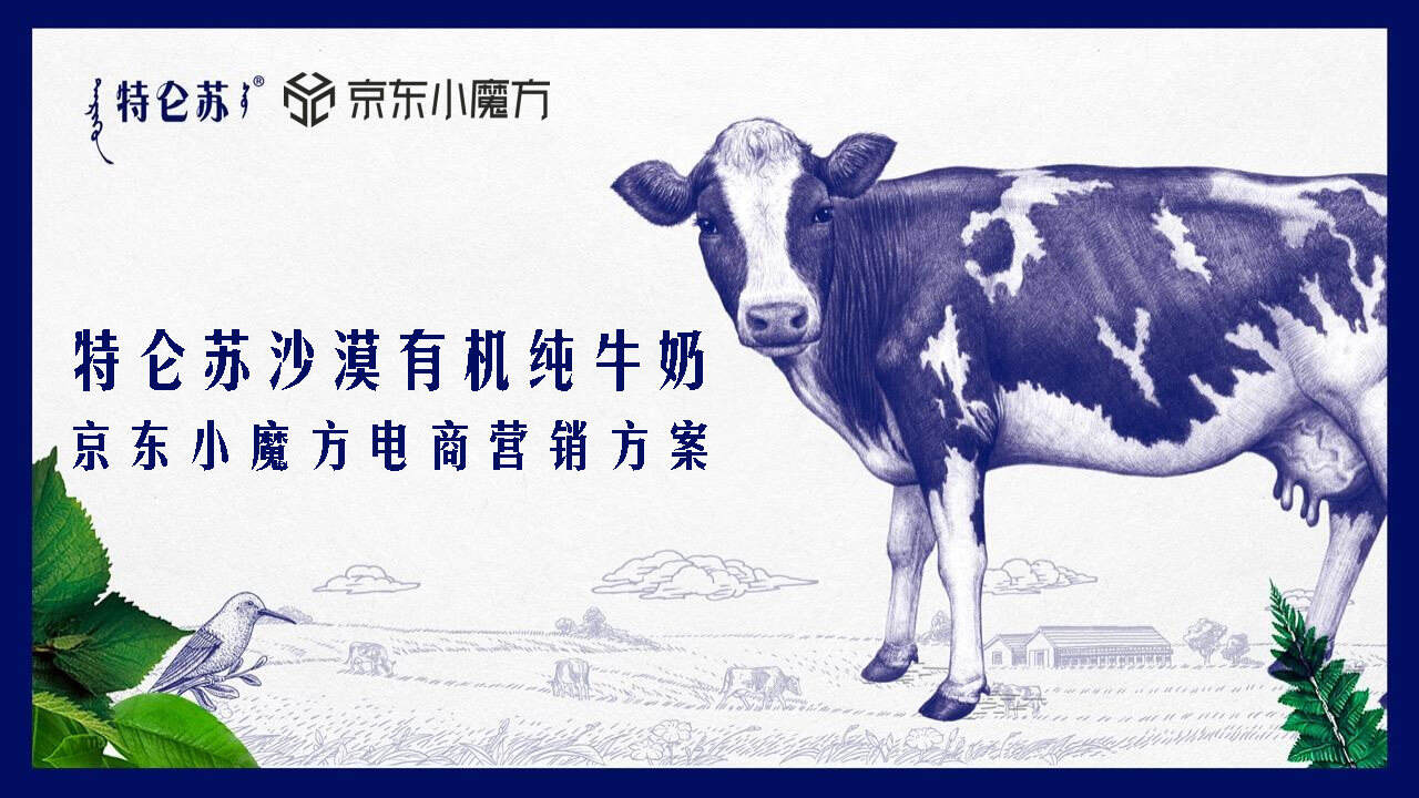 2021特仑苏 X 京东小魔方沙漠有机奶上市方案