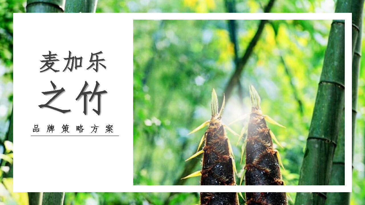 2021竹笋饼干·之竹品牌策略全案