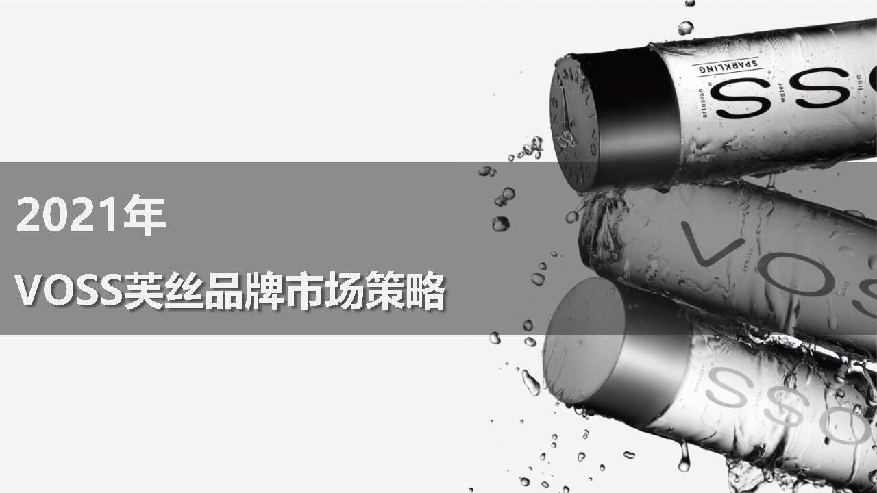 2021VOSS市场策略方案