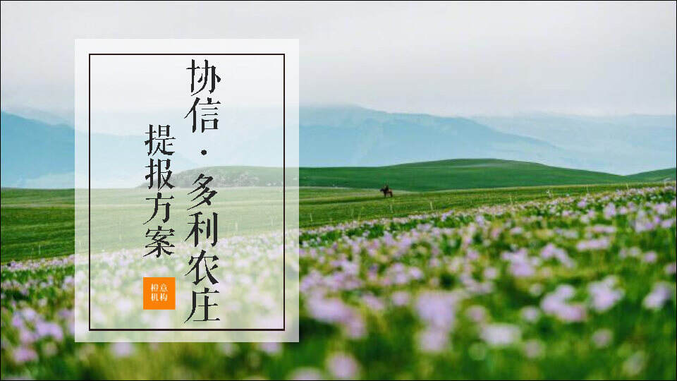 2020中国田园文旅综合体多利庄推广案