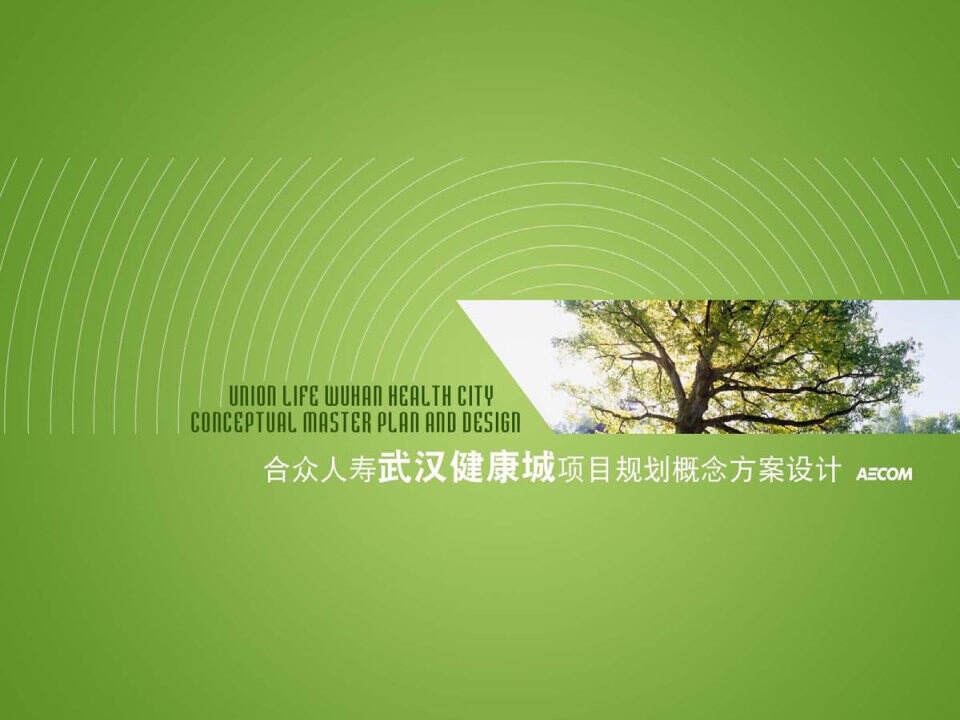 健康谷-养老项目概念规划方案