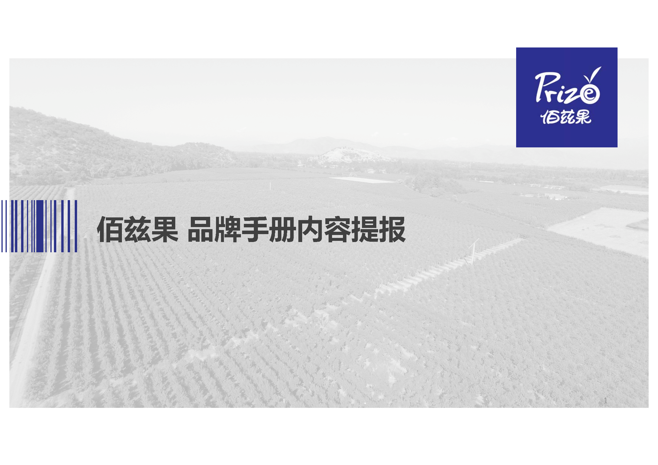 佰兹果品牌手册内容提报【水果生鲜】