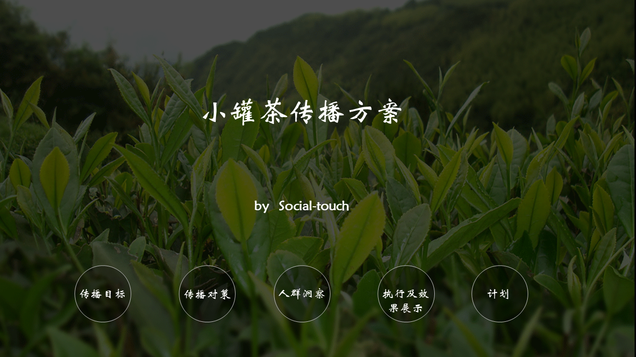 鲁楠小罐茶传播方案-时趣