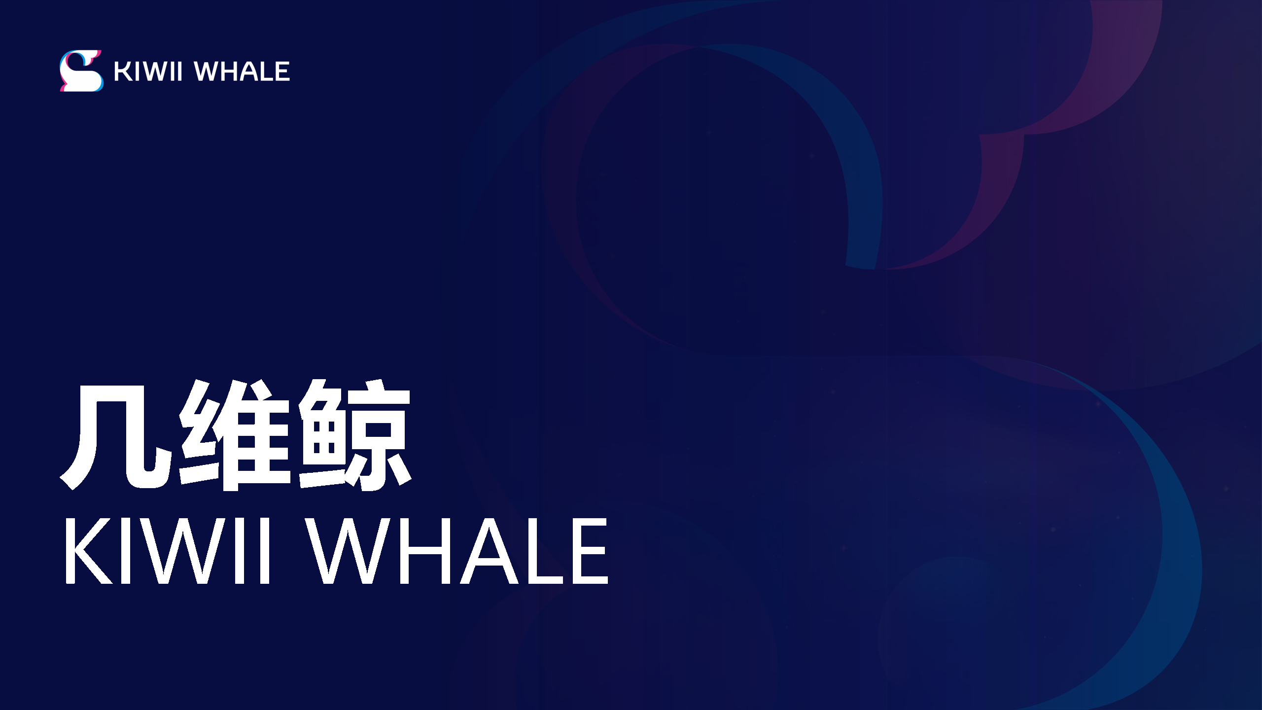 2022几维鲸公司介绍
