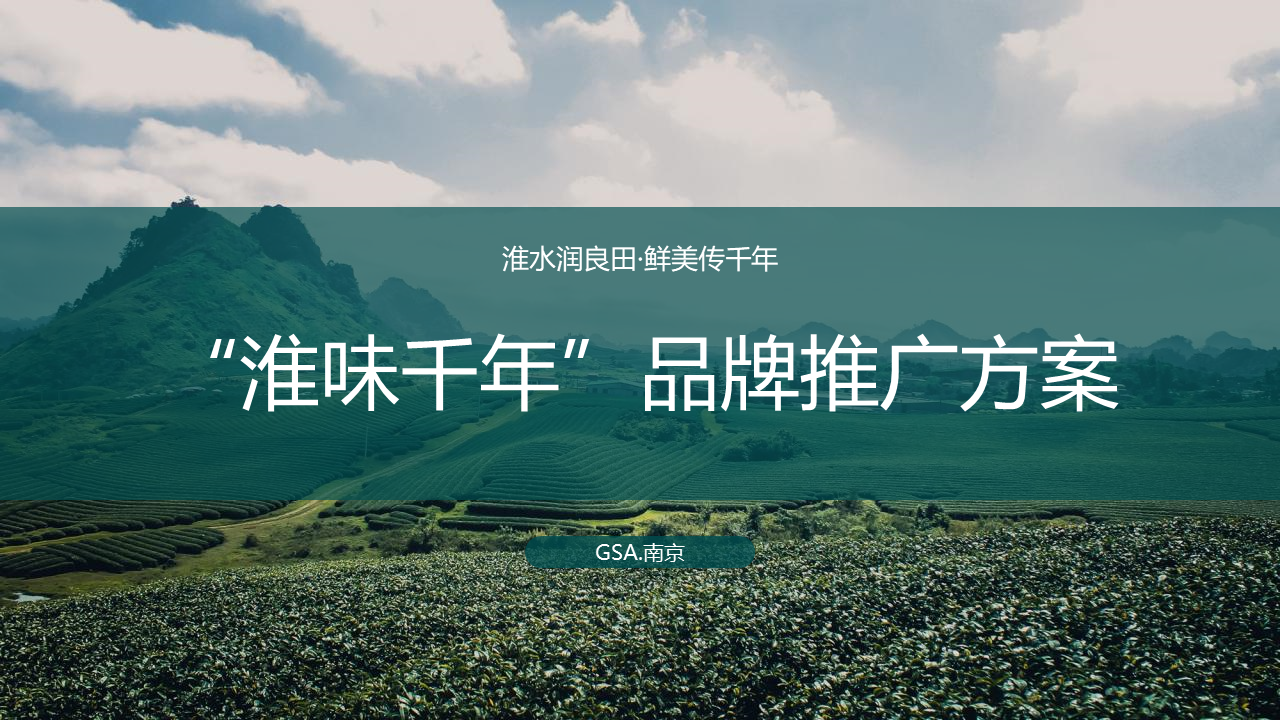 “淮味千年”农产品品牌推广方案