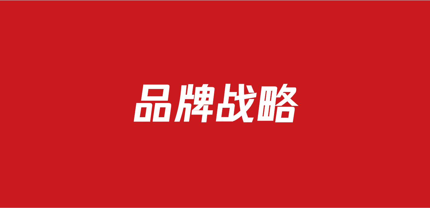 461品牌战略策划方案（106份）